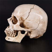 Load image into Gallery viewer, RIP Skull