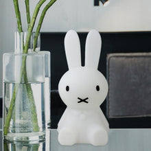 Load image into Gallery viewer, Hoppy Lamp LED Nightlight