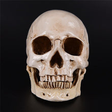 Load image into Gallery viewer, RIP Skull
