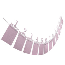 Load image into Gallery viewer, Baby Birthday Banner