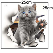 Load image into Gallery viewer, FALSE