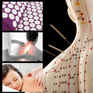 Acupuncture Cushion