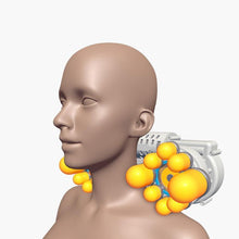 Load image into Gallery viewer, Neck Therapy Massage
