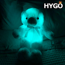 Load image into Gallery viewer, Light Up LED Teddy Bear
